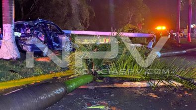 seguridad bahia 18243