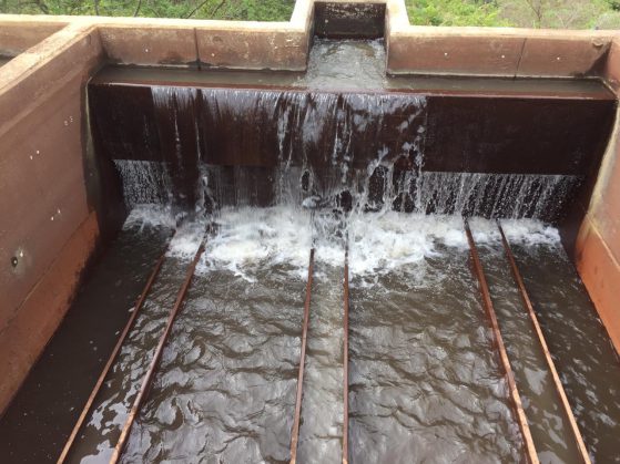 BP-SV-085-Apoyo-Solidario-Pandemia-06