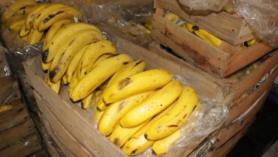 WhatsApp Image 2020-09-02 at 9.21.33 PM