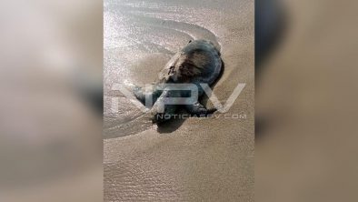 WhatsApp Image 2020-09-16 at 1.51.53 PM (1)