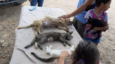 WhatsApp Image 2020-09-24 at 9.16.05 PM