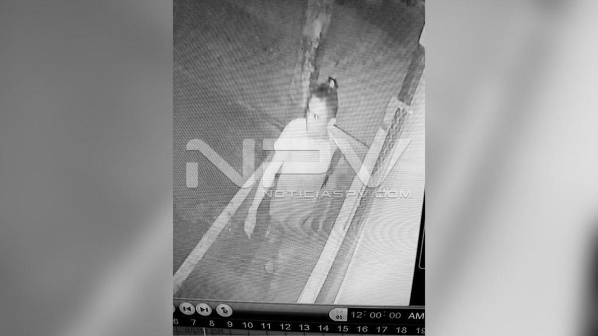 seguridad bahia 18530