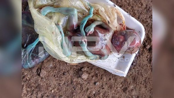 seguridad bahia 19903