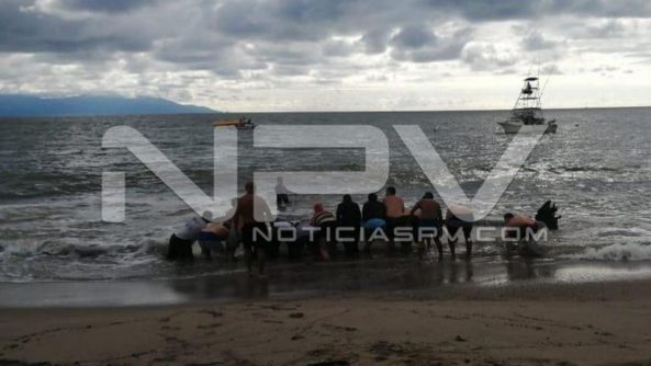 seguridad bahia 20575