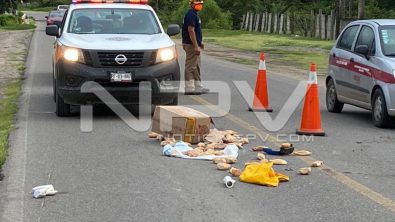 seguridad bahia 20614