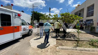 seguridad bahia 20838