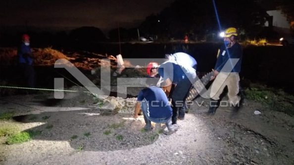 seguridad bahia 21320