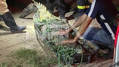 seguridad bahia 21326