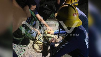 seguridad bahia 21327