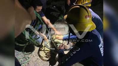 seguridad bahia 21327