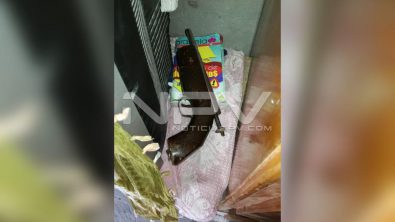seguridad bahia 21768
