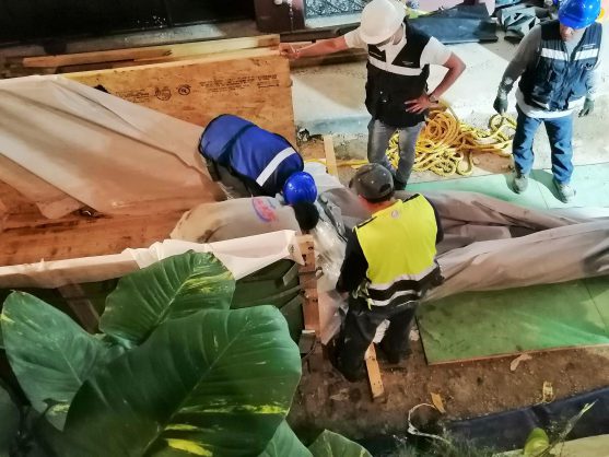 BP-SV-099-Sistema-Manga-Colector-05