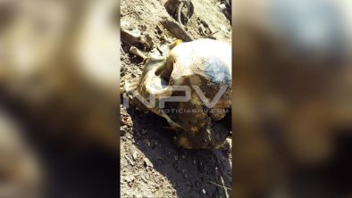 SEGURIDAD BAHIA 1950