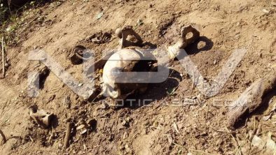 SEGURIDAD BAHIA 1963