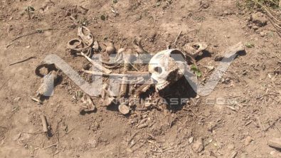 SEGURIDAD BAHIA 1964