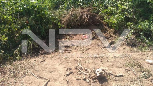 SEGURIDAD BAHIA 1965