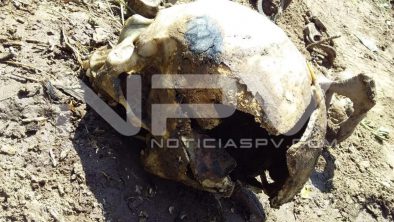 SEGURIDAD BAHIA 1966