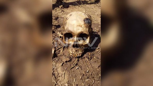 SEGURIDAD BAHIA 1967