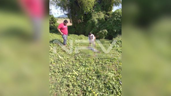 SEGURIDAD BAHIA 2499