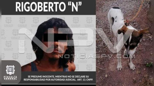 seguridad 23446