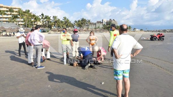 seguridad bahia 22092