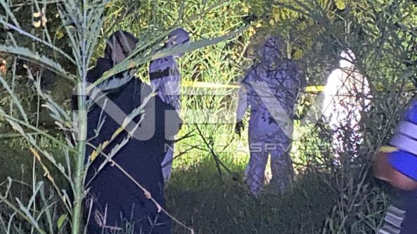 seguridad bahia 23027