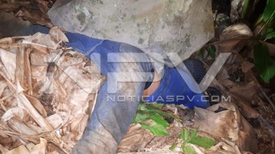 seguridad bahia 23068