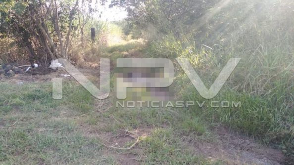 seguridad bahia 23218