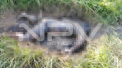 seguridad bahia 23221