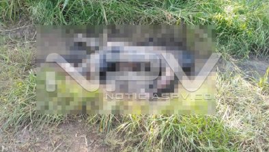 seguridad bahia 23222