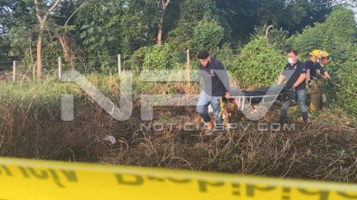 seguridad bahia 23793