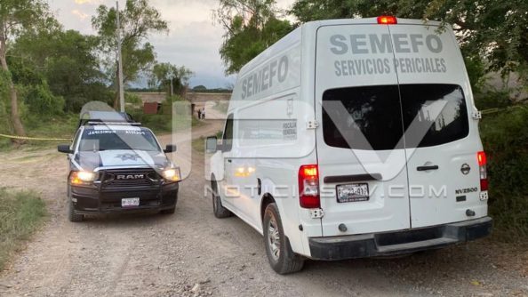 seguridad bahia 24203