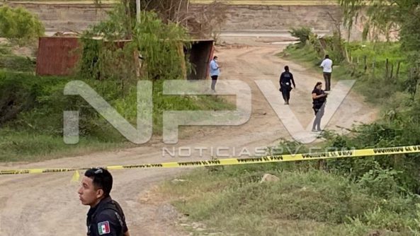 seguridad bahia 24207