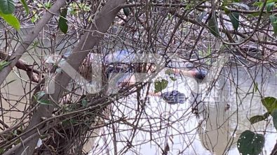 seguridad bahia 24208