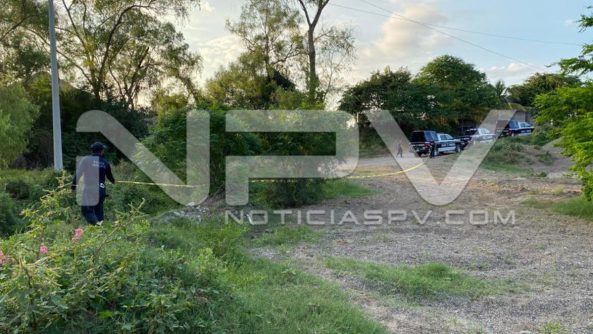 seguridad bahia 24210