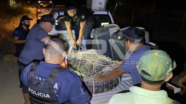 SEGURIDAD 4408