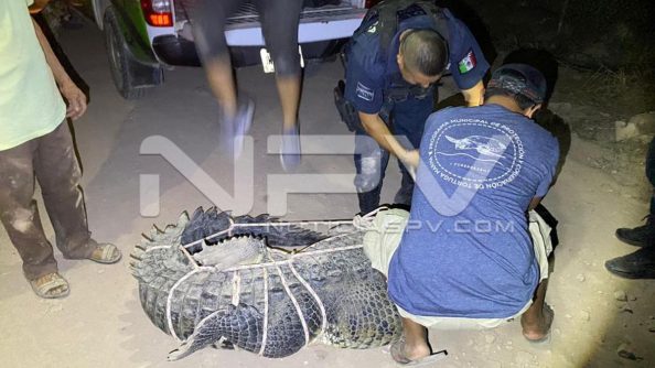 SEGURIDAD 4409