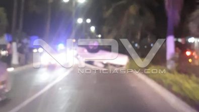 SEGURIDAD 5394