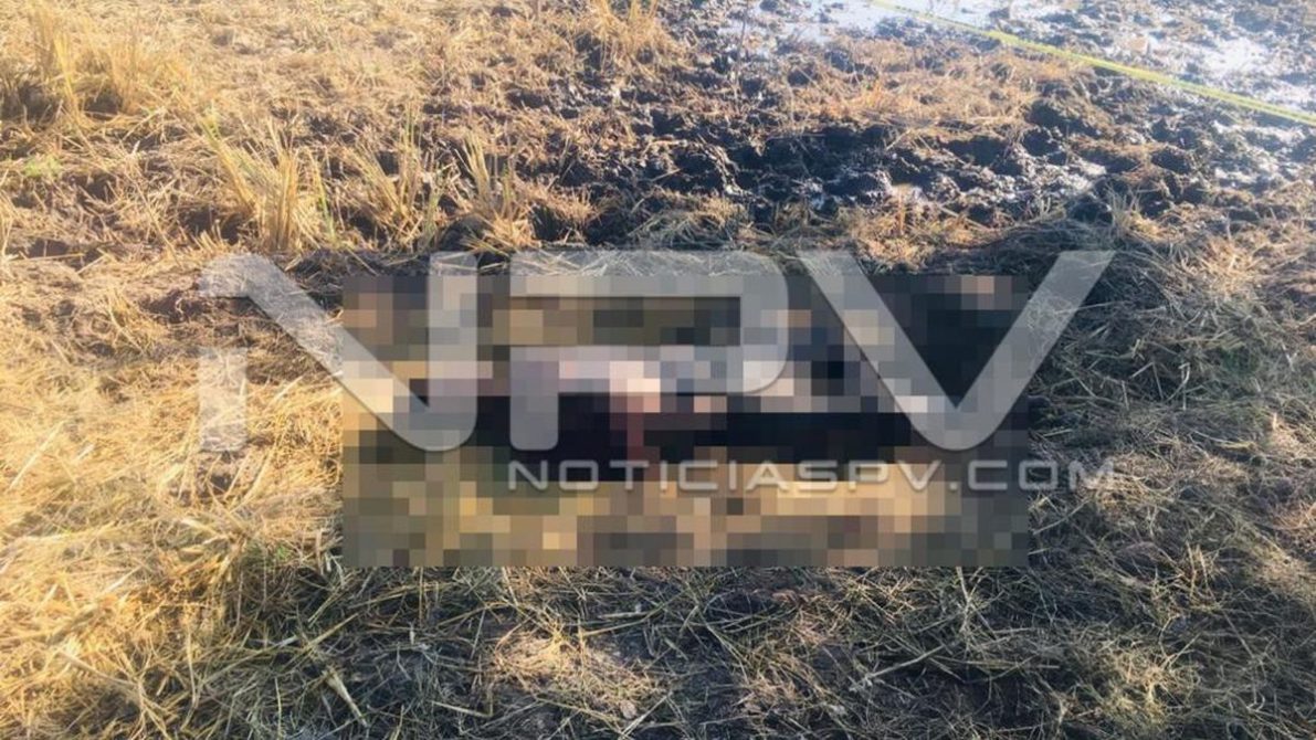 SEGURIDAD BAHIA 4798