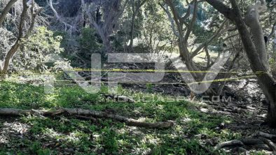 SEGURIDAD BAHIA 5252