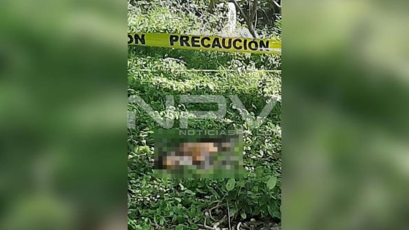 SEGURIDAD BAHIA 5256