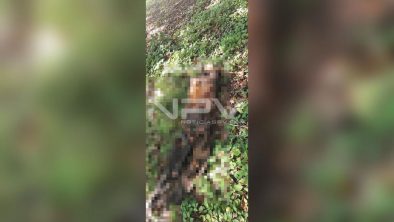 SEGURIDAD BAHIA 5257