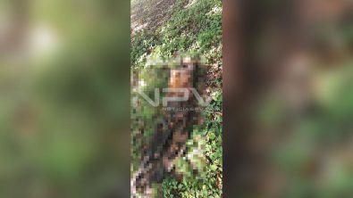 SEGURIDAD BAHIA 5257