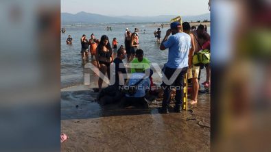 SEGURIDAD BAHIA 5467