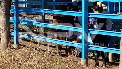 SEGURIDAD BAHIA 5713