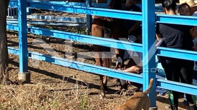 SEGURIDAD BAHIA 5717