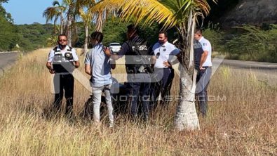 SEGURIDAD BAHIA 6152