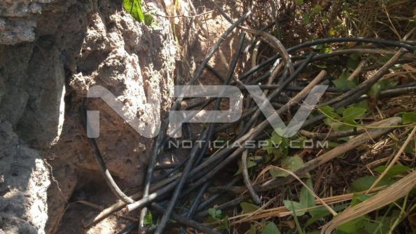 SEGURIDAD BAHIA 6504