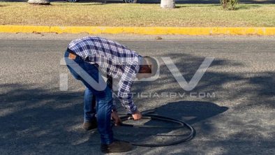 SEGURIDAD BAHIA 6506