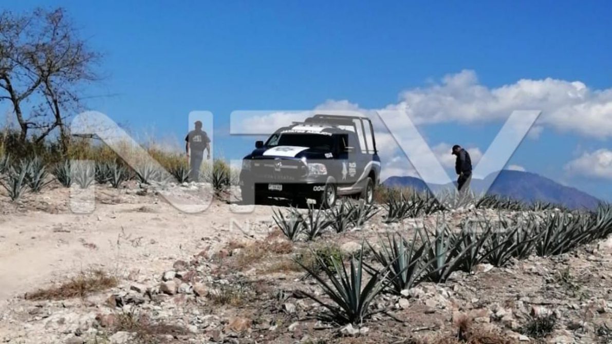 SEGURIDAD BAHIA 007